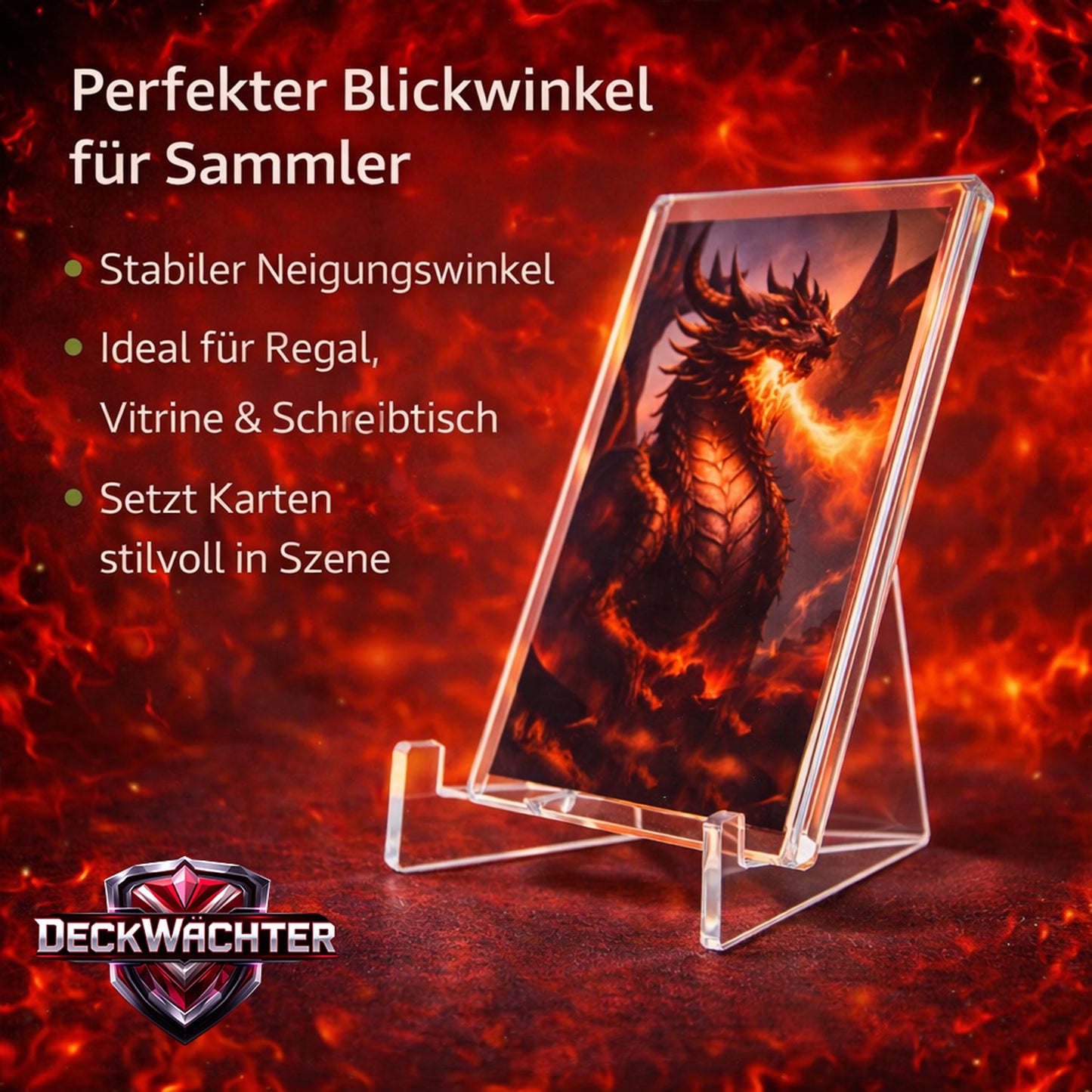 Acryl Kartenständer – 5er Set Klarer Display-Ständer für Sammelkarten, PSA Slabs & Magnet-Hüllen